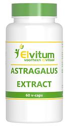 Foto van Elvitum astragalus extract capsules
