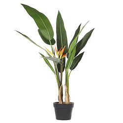 Foto van Beliani strelitzia tree - kunstplant-groen-synthetisch materiaal