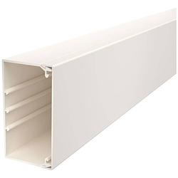 Foto van Obo bettermann 6021840 kabelgoot (l x b x h) 2000 x 110 x 60 mm crème-wit 1 stuk(s)