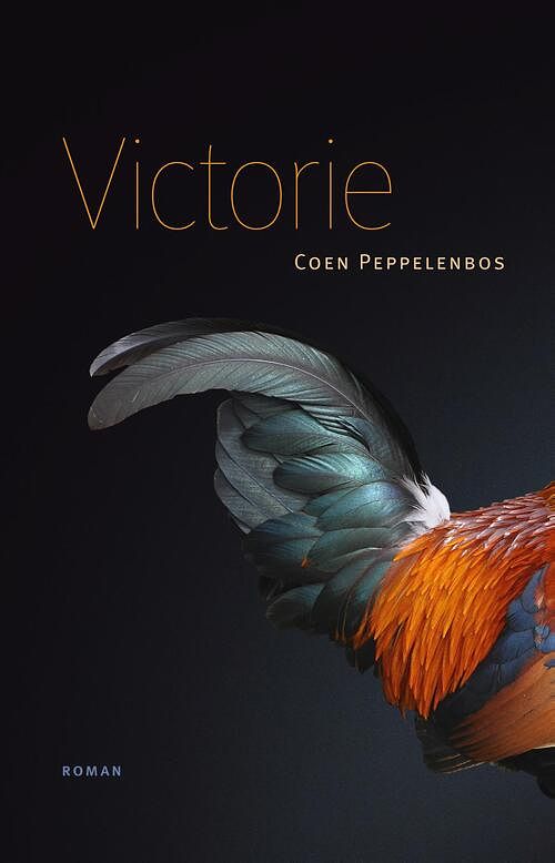 Foto van Victorie - coen peppelenbos - ebook (9789492190277)