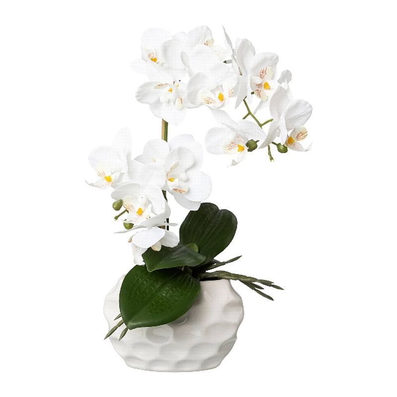 Foto van Kopu® kunstplant orchidee 33 cm in witte sierpot 13x9cm - wit