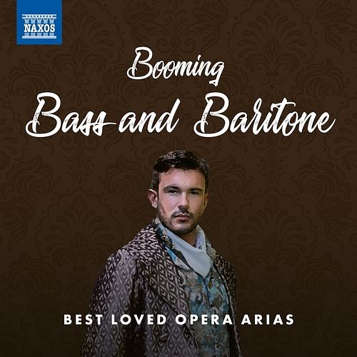 Foto van Booming bass and baritone best loved opera arias - cd (0747313819171)