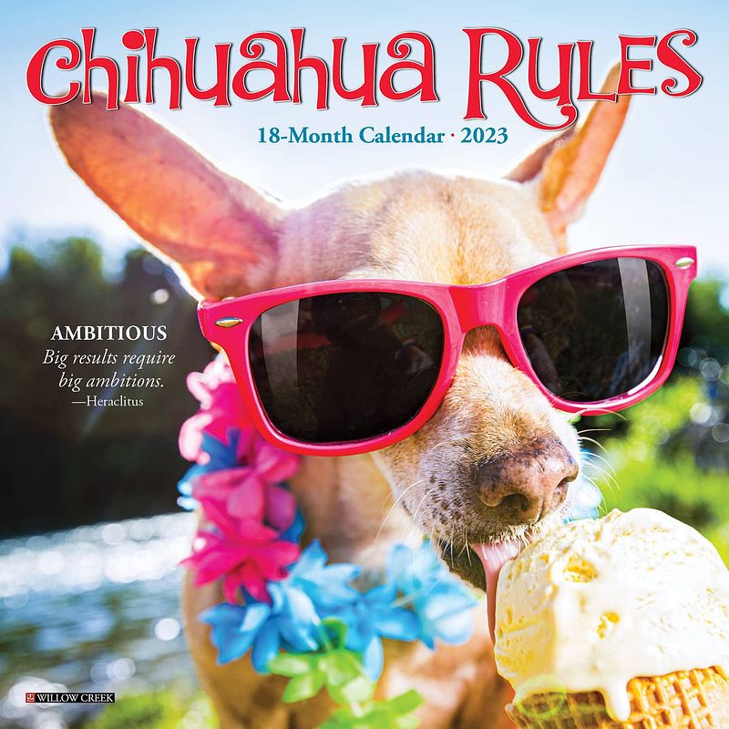 Foto van Chihuahua rules kalender 2023 mini