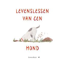 Foto van Levenslessen van een hond