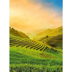 Foto van Wizard+genius terraced rice field in vietnam vlies fotobehang 192x260cm 4-banen