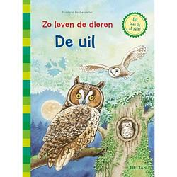 Foto van De uil - zo leven de dieren