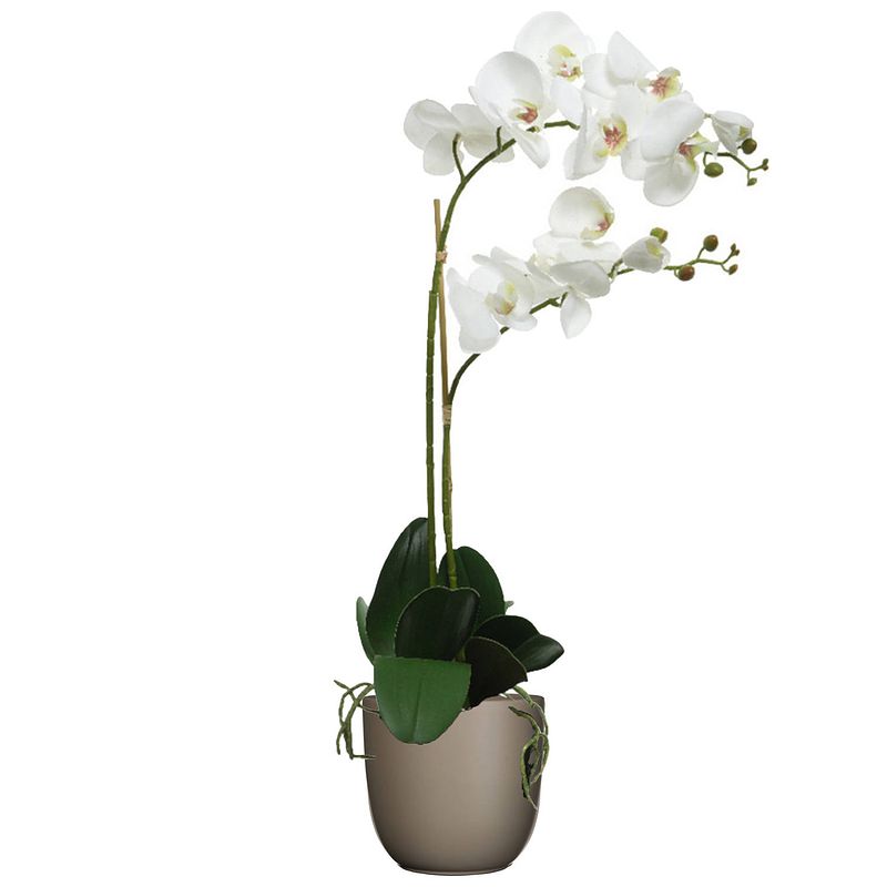 Foto van Orchidee kunstplant wit - 62 cm - inclusief bloempot taupe mat - kunstplanten