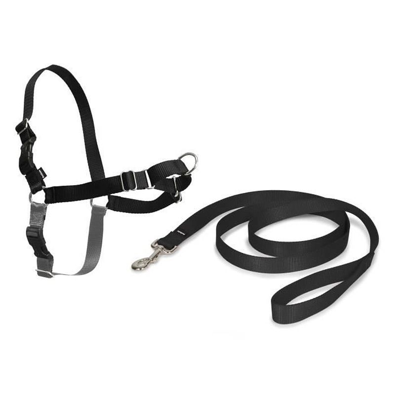 Foto van Easy walk harness s - zwart - honden