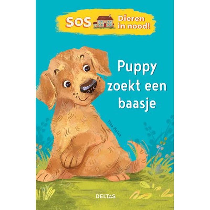 Foto van Puppy zoekt een baasje - sos dieren in nood!