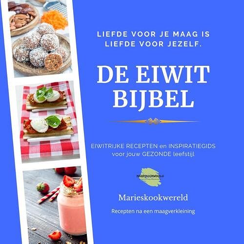 Foto van De eiwitbijbel - marie-josee koks - paperback (9789090331195)