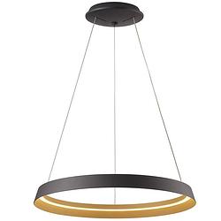 Foto van Steinhauer ringlux hanglamp -- goud en zwart