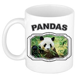 Foto van Dieren panda beker - pandas/ pandaberen mok wit 300 ml - feest mokken
