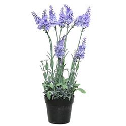 Foto van Lavendel kunstplant in pot - lila paars - d18 x h38 cm - kunstplanten