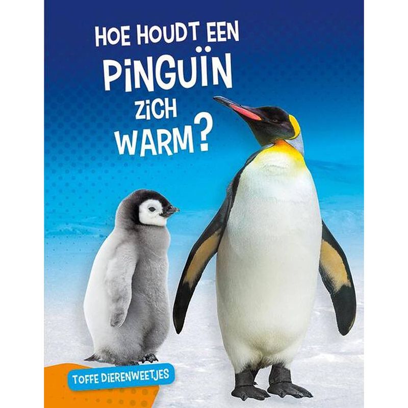 Foto van Hoe houdt een pinguïn zich warm?