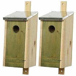 Foto van Set van 2 houten vogelhuisjes/nestkastjes lichtgroen 26 cm - vogelhuisjes
