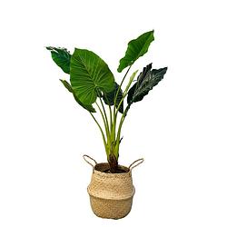 Foto van Hem kunst palm - kunst colocasia taro plant - colocasia taro kunstplant 90 cm in zwarte pot - kunstplant voor binnen