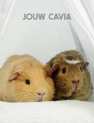 Foto van Jouw cavia - jeroen van dongen - hardcover (9789083239446)
