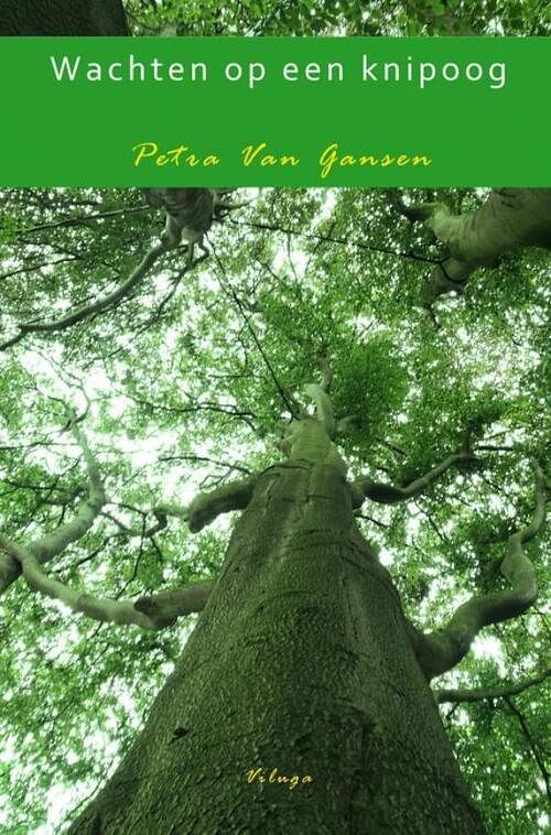 Foto van Wachten op een knipoog - petra van gansen - paperback (9789402195651)