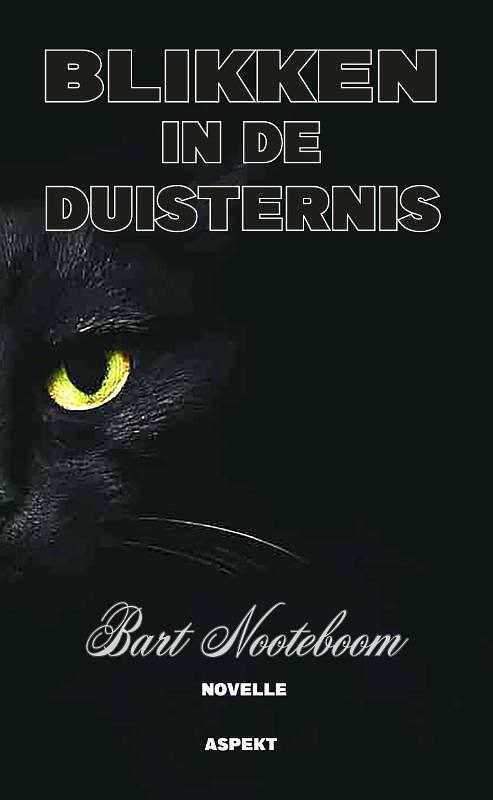 Foto van Blikken in de duisternis - bart nooteboom - paperback (9789464628791)