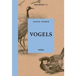 Foto van Vogels