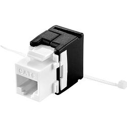 Foto van Renkforce renkforce rj45-inbouwmodule keystone cat 6