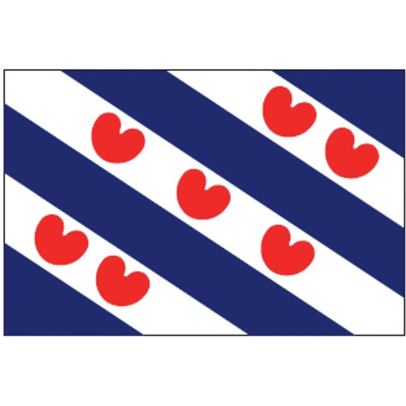 Foto van Talamex friese vlag 50x75 - veiligheid en vlaggen