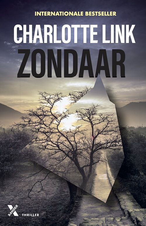 Foto van Zondaar - charlotte link - ebook (9789401616782)