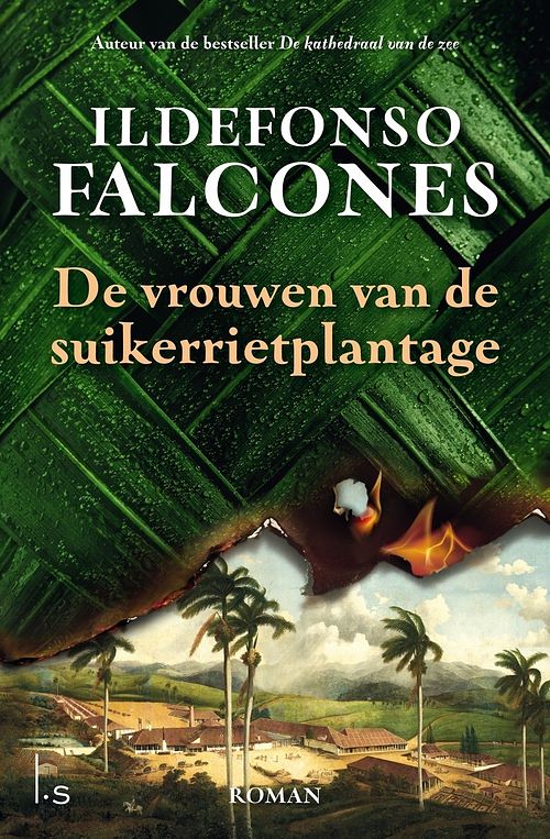 Foto van De vrouwen van de suikerrietplantage - ildefonso falcones - ebook