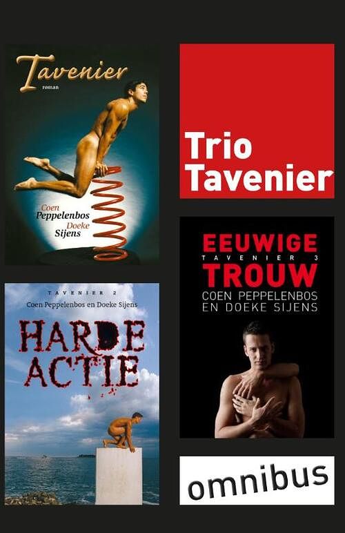 Foto van Trio tavenier - coen peppelenbos, doeke sijens - ebook (9789491065316)