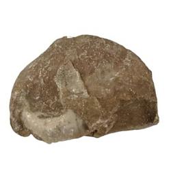 Foto van Esschert design fossiel rots groot steen bruin