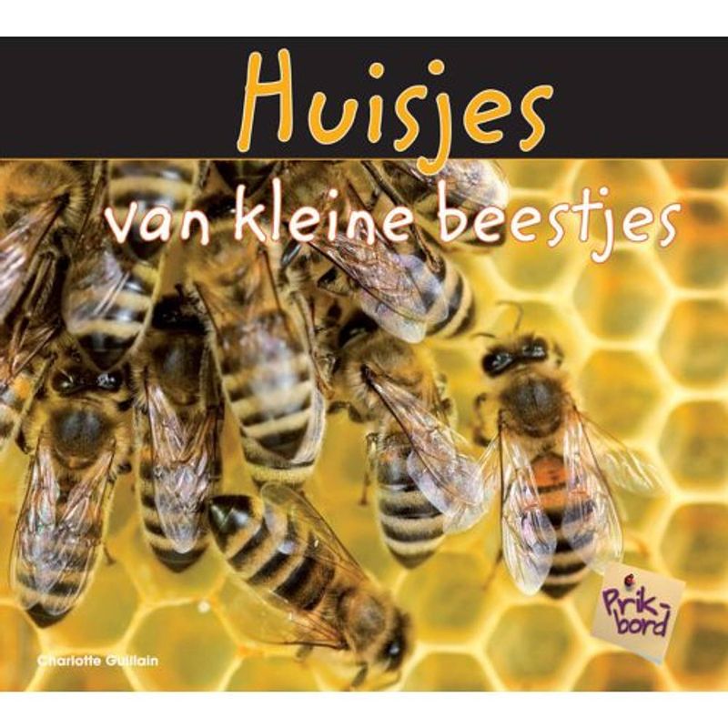 Foto van Huisjes van kleine beestjes - prikbord