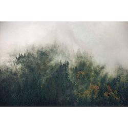 Foto van Komar tales of the carpathians vlies fotobehang 300x200cm 3-banen